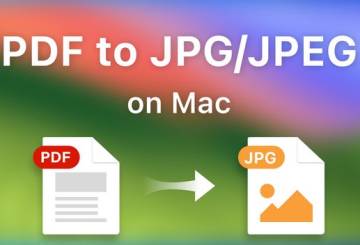 Top Benefits Of Converting A PDF File To JPG Through This Tool